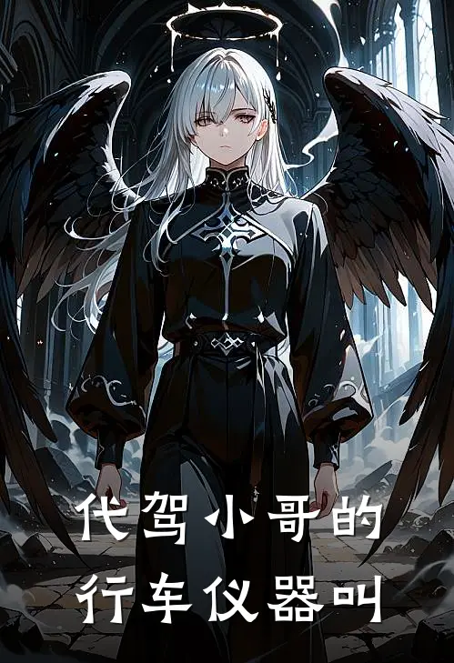 代驾小哥的行车仪器叫